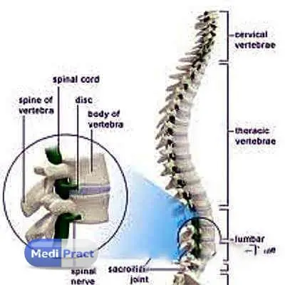 Dr. Braj Mohan Profile Picture
